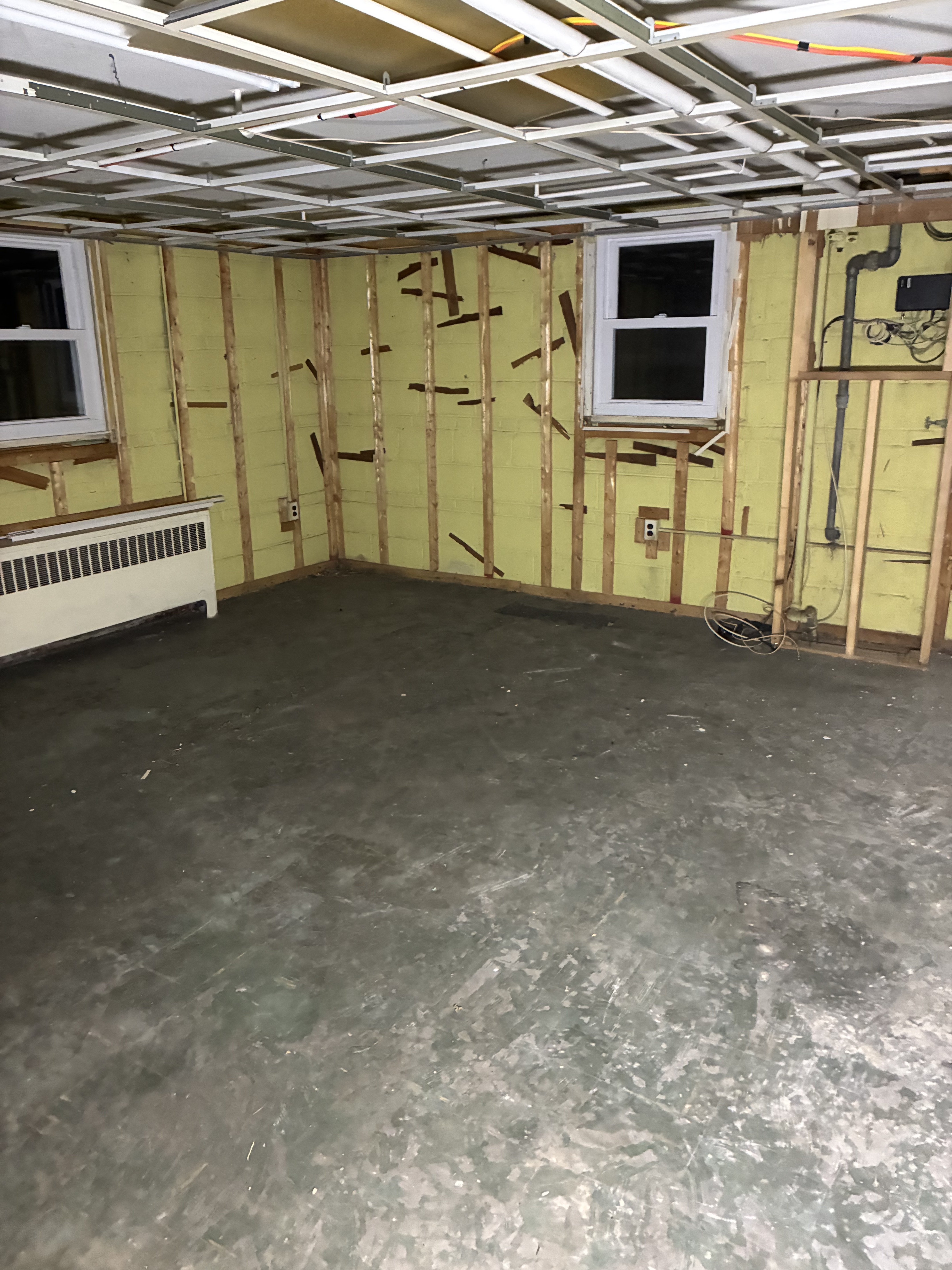 Basement after demo